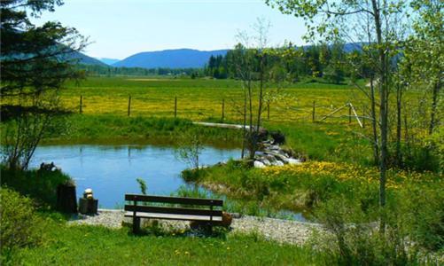 Holiday home Nakiska Ranch Clearwater